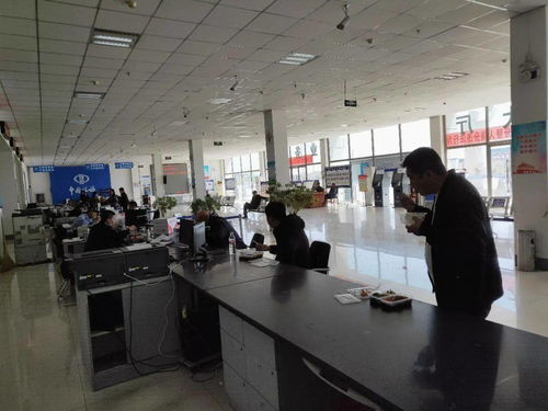 滦南车管 教育整顿铸忠魂，便民服务践初心